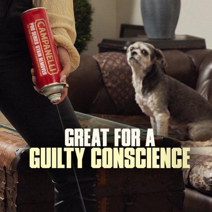 Professional Strength Instant Stain Remover