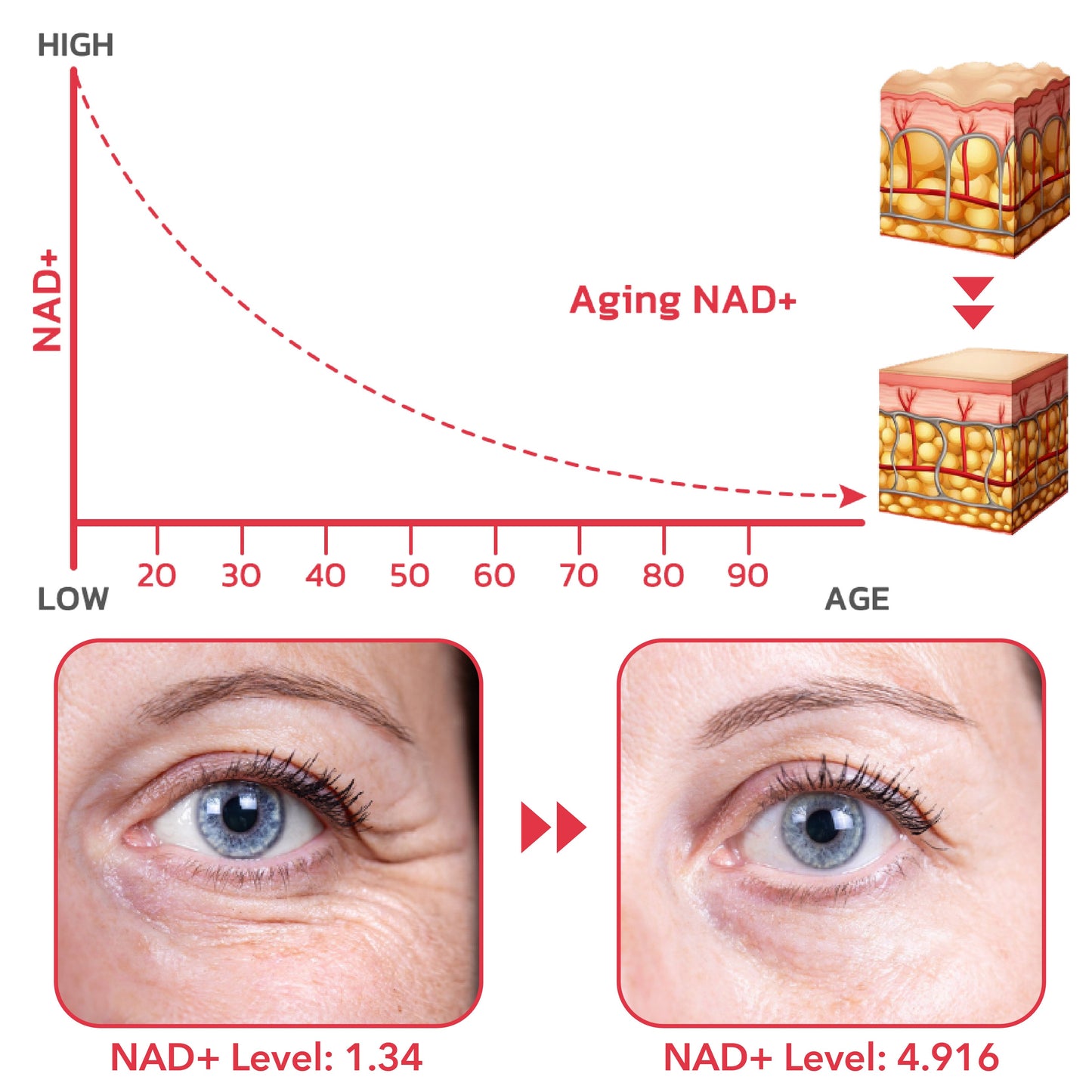 NMN Aging Face Serum