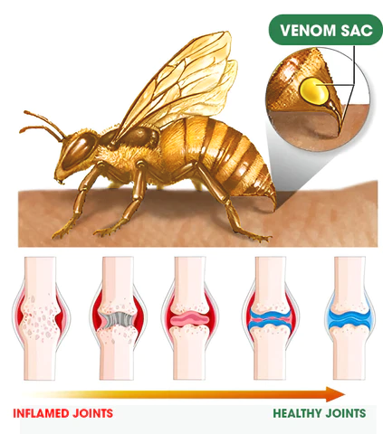 Fivfivgo™ Bee Venom Advanced Joint and Bone Therapy Cream